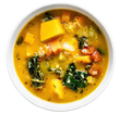 Harvest Vegetable Soup